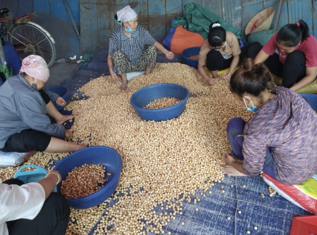 Những tác dụng tuyệt vời của hạt cườm gỗ Thanh Long uy tín mà bạn nên biết 2 Hạt cườm gỗ Thanh Long đã trở thành một thương hiệu đáng tin cậy trong lĩnh vực sản xuất và cung cấp hạt cườm gỗ tại Việt Nam