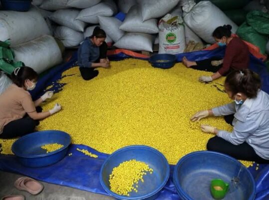 Top 5 lợi ích khi sử dụng sản phẩm từ hạt cườm gỗ Thanh Long 2 Top 5 lợi ích khi sử dụng sản phẩm từ hạt cườm gỗ Thanh Long