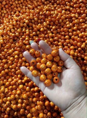 Hạt cườm gỗ Thanh Long