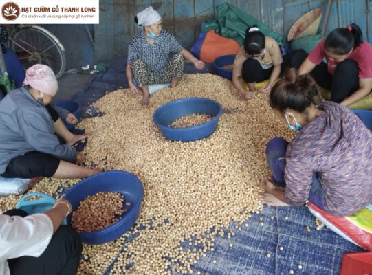 Hạt cườm Thanh Long - địa chỉ tin cậy cho người yêu thích hạt cườm gỗ tự nhiên 1 Hạt cườm Thanh Long