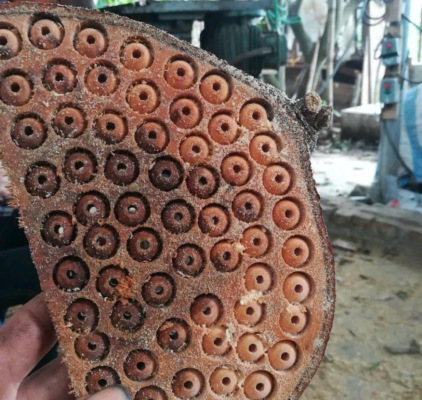 Chất liệu gỗ tự nhiên 100% – Cam kết không dùng gỗ tạp