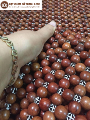 Tổng quan về chiếu hạt gỗ