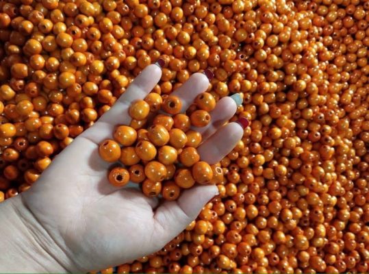 Công ty TNHH sản xuất Hạt Cườm Gỗ Thanh Long