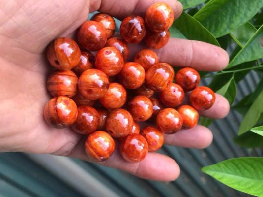 Bí quyết chọn mua hạt gỗ tự nhiên giá rẻ, chất lượng tốt