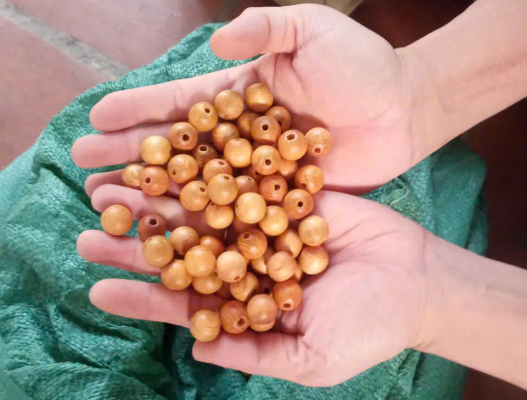 Gia công hạt gỗ tự nhiên là gì?